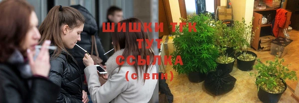 ПСИЛОЦИБИНОВЫЕ ГРИБЫ Вязники