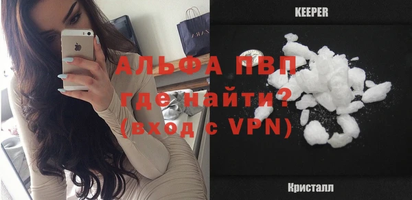 ПСИЛОЦИБИНОВЫЕ ГРИБЫ Вязники