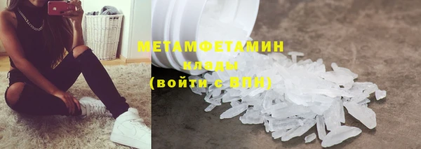 ПСИЛОЦИБИНОВЫЕ ГРИБЫ Вязники
