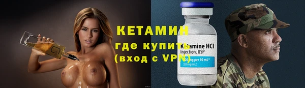 ПСИЛОЦИБИНОВЫЕ ГРИБЫ Вязники