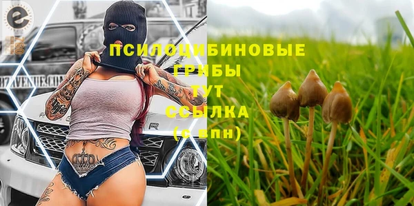 дурь Вязьма