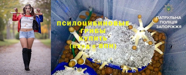 ПСИЛОЦИБИНОВЫЕ ГРИБЫ Вязники