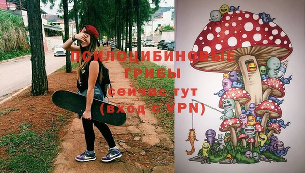ешки Вяземский