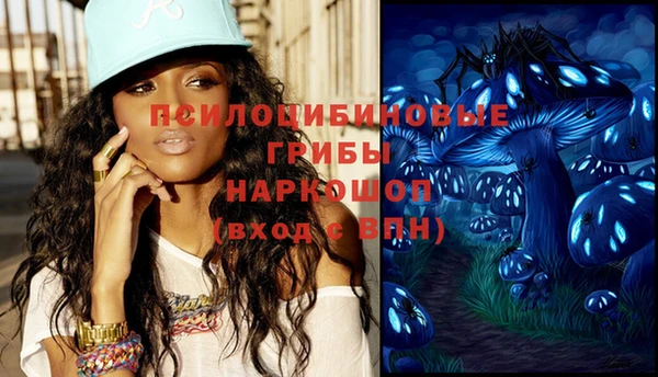ПСИЛОЦИБИНОВЫЕ ГРИБЫ Вязники