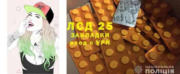ПСИЛОЦИБИНОВЫЕ ГРИБЫ Вязники
